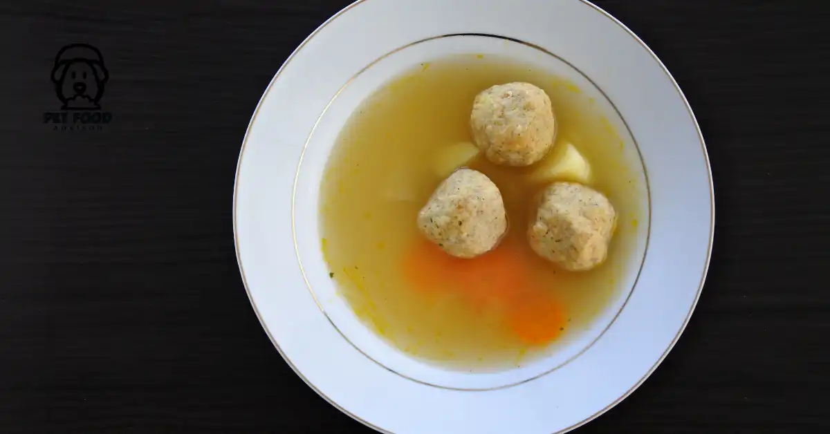 Reasons of Adding Chicken Broth To Dog Food