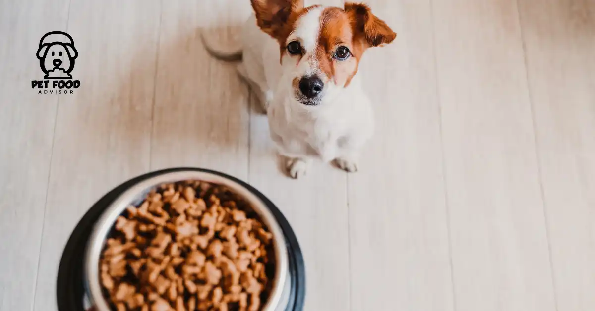 How to manage Acid Reflux Dog Food problems ? Dog Food Guidelines