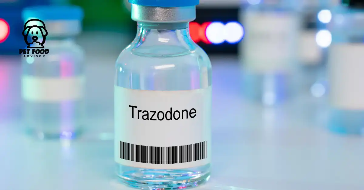 A Comprehensive Guide for Pet Owners For Using Trazodone for Dogs