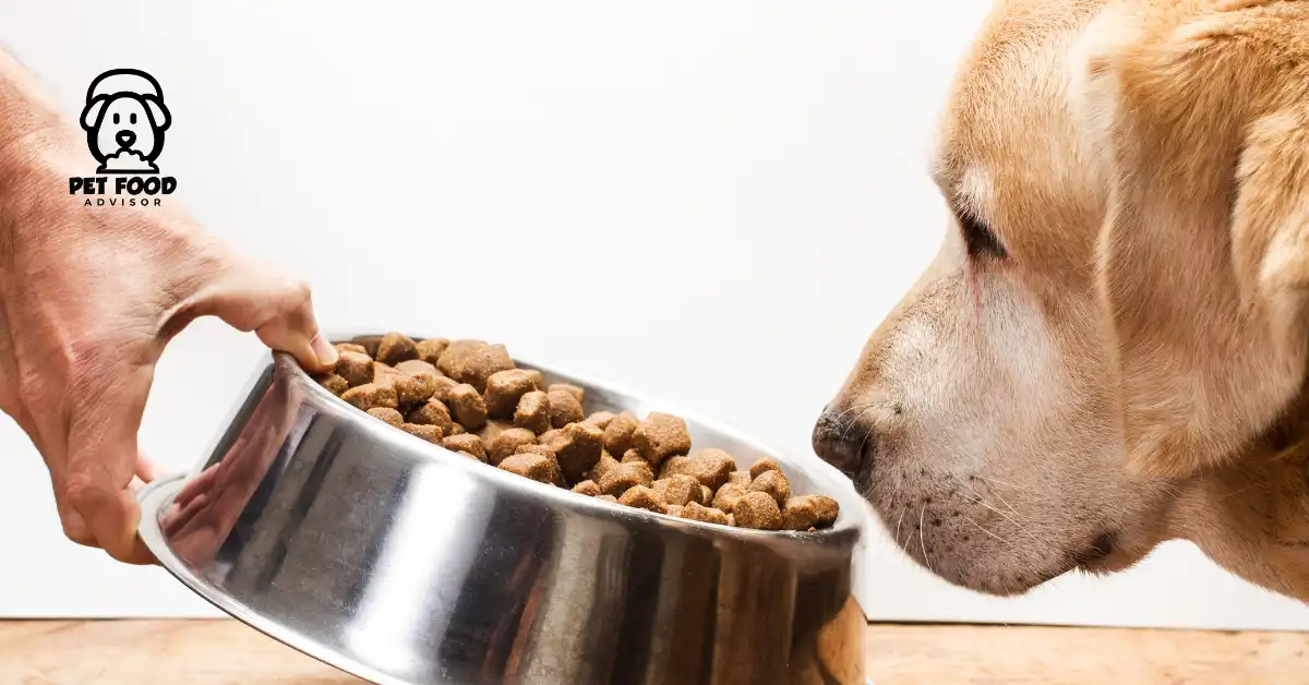 is-alpo-dog-food-right-for-your-furry-friend-find-out-from-reviews