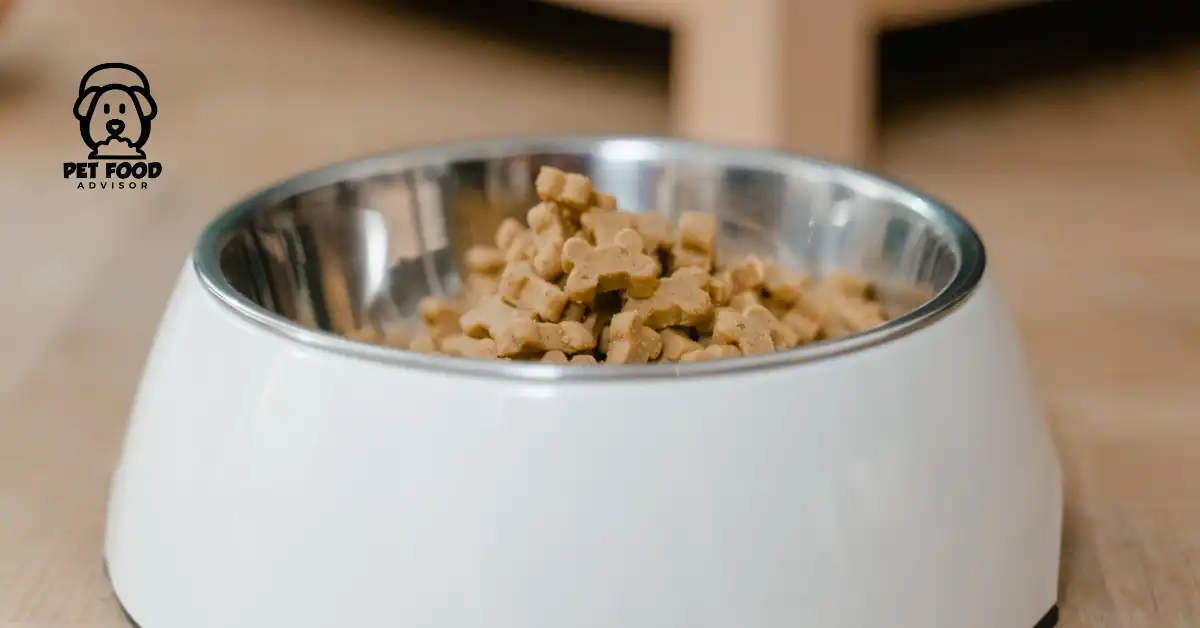 Unbiased 5 American Journey Dog Food Reviews