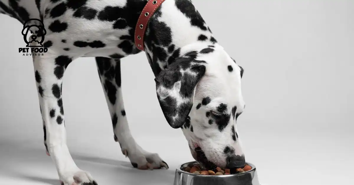 How Annamaet Ultra 32 Dry Dog Food made ? Key Ingredients