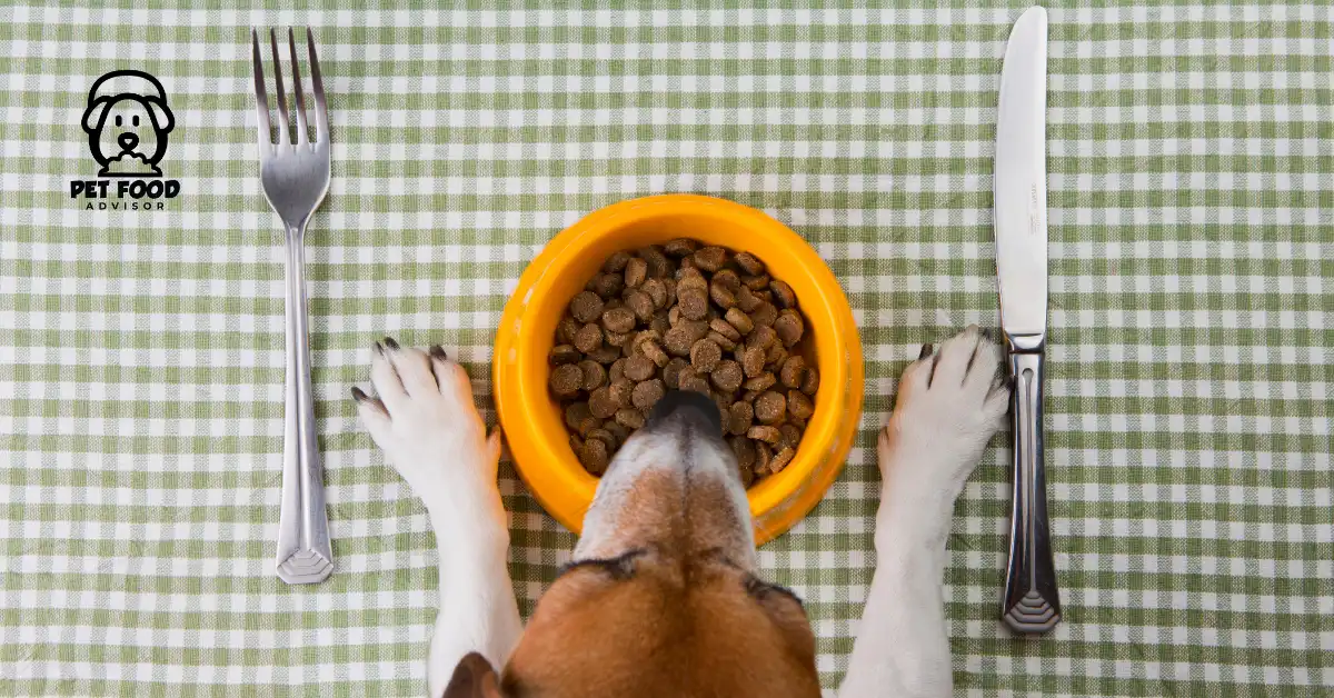 Top 3 Answers Detailed Dog Food Reviews 2024 [ Raw Food ]