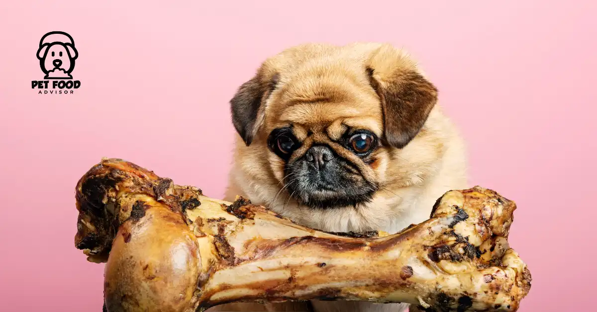 Are Bones Good for Puppies? Benefits and Safety Considerations