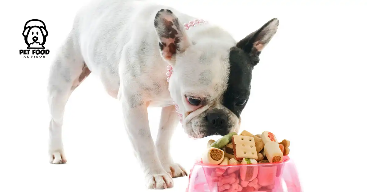 5 Best Options for American Bulldog Food 2024
