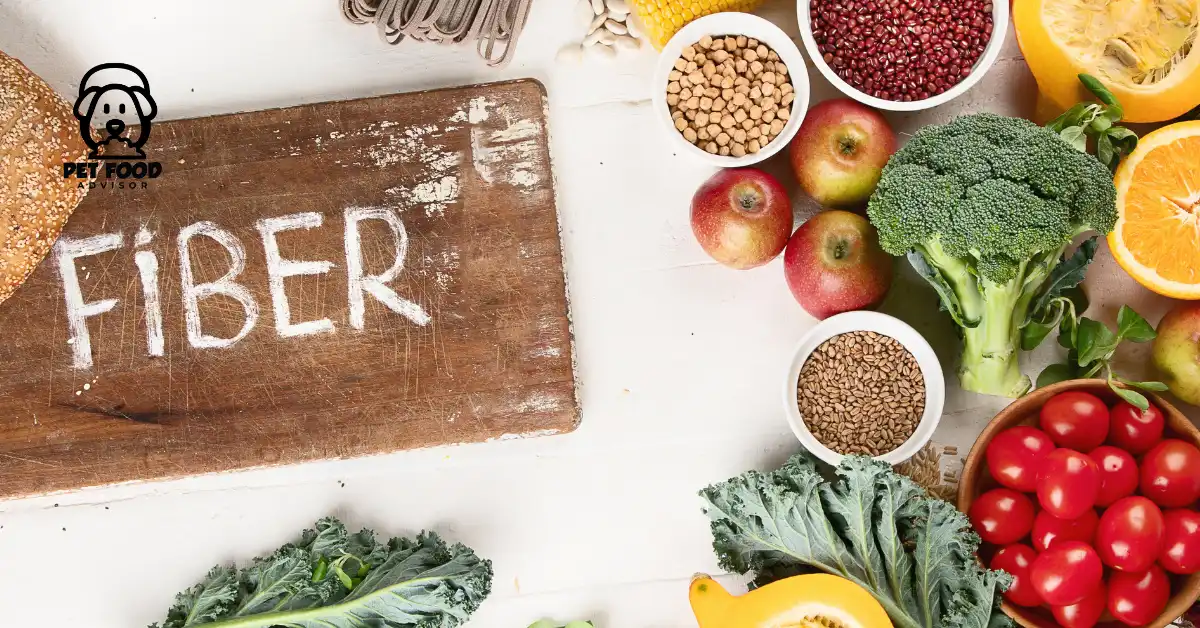 boosting-digestive-wellness-how-to-add-fiber-to-your-dog's-diet