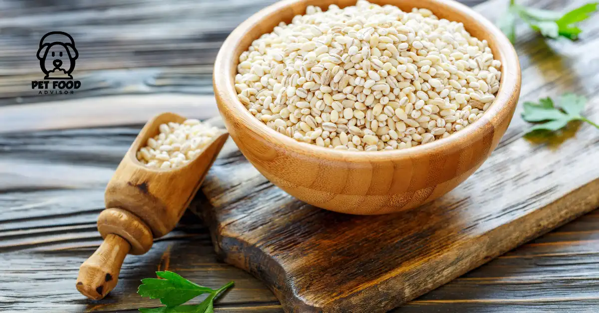 Benefits of Ancient Grains Dog Food for Your Pet