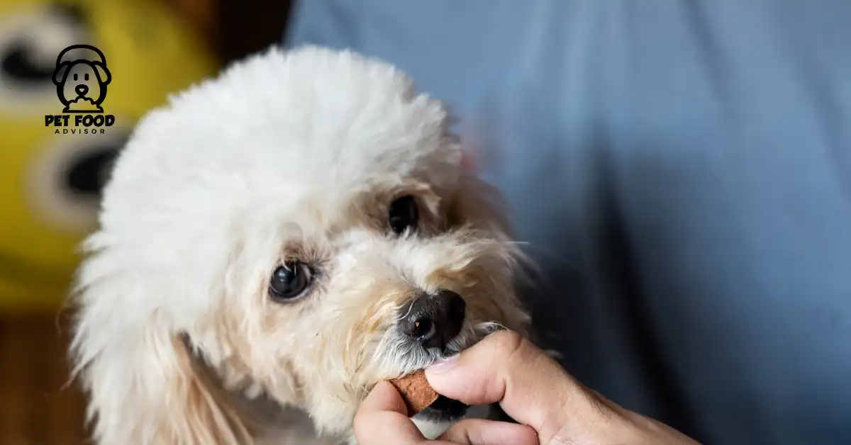 How To Identify and Treat Heartworms in Dogs At Home ?