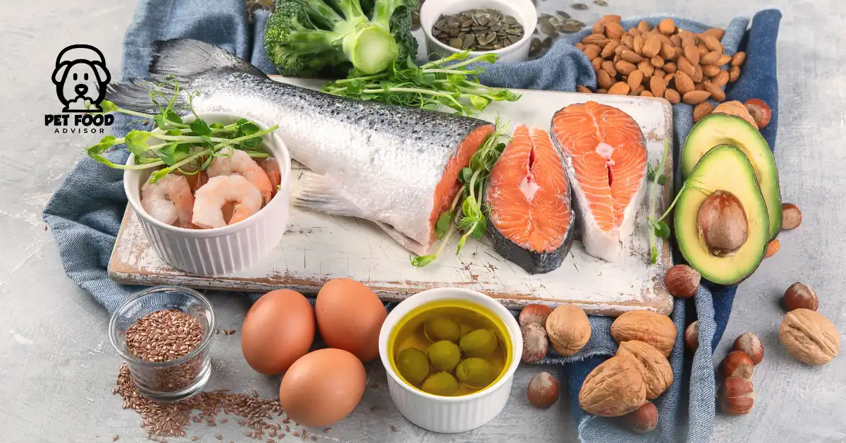 5 Best Anti-Inflammatory Dog Food | Veterinarians Choice