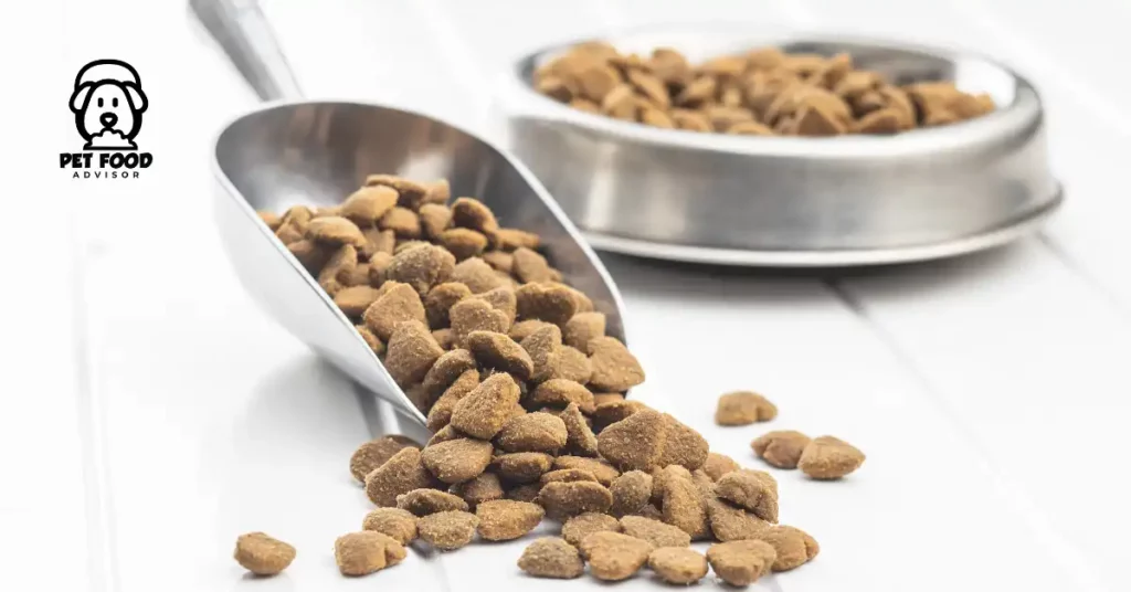 5 Best Budget Friendly Air Dried Dog Food | Top Picks
