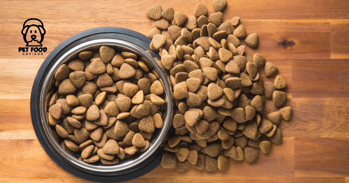 How to identify Yeast Infection in Dogs? Top 5 Anti-Yeast Dog Foods
