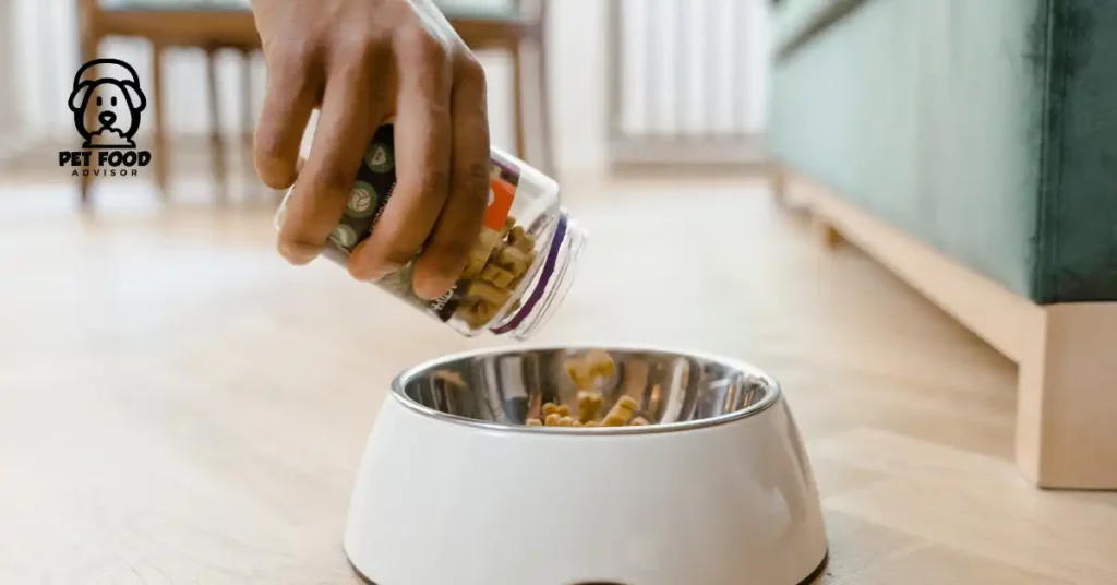5 Best Foods For Bernese Mountain Dog | Healthcare Advice