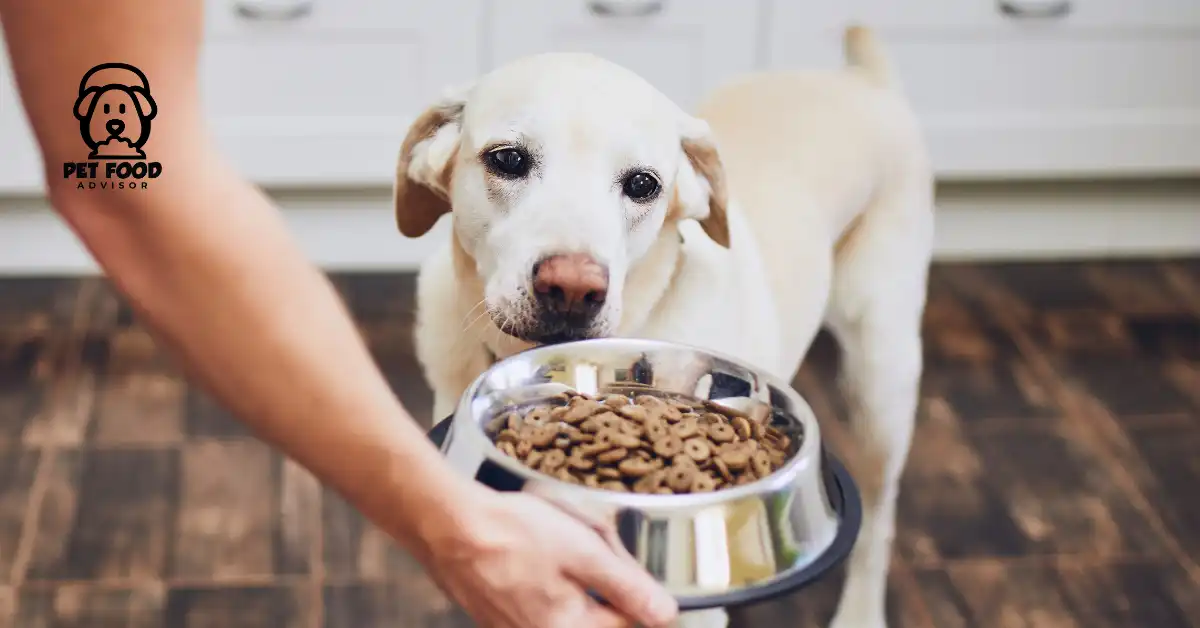 Truth About Acana Dog Food By ACANA