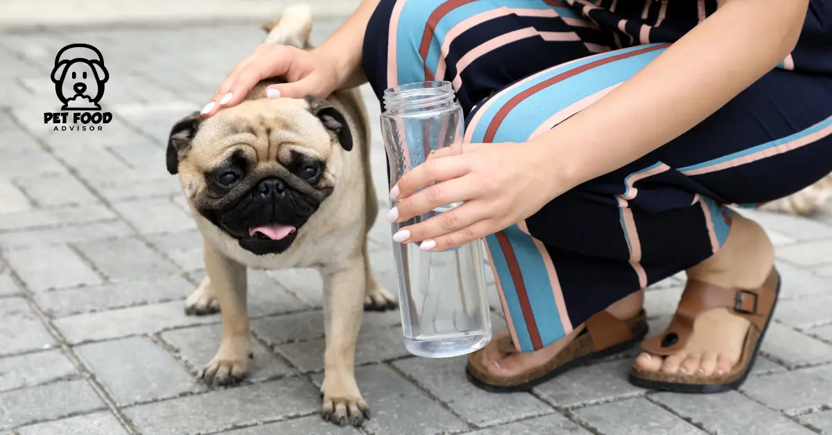 top-5-best-dehydrated-dog-food