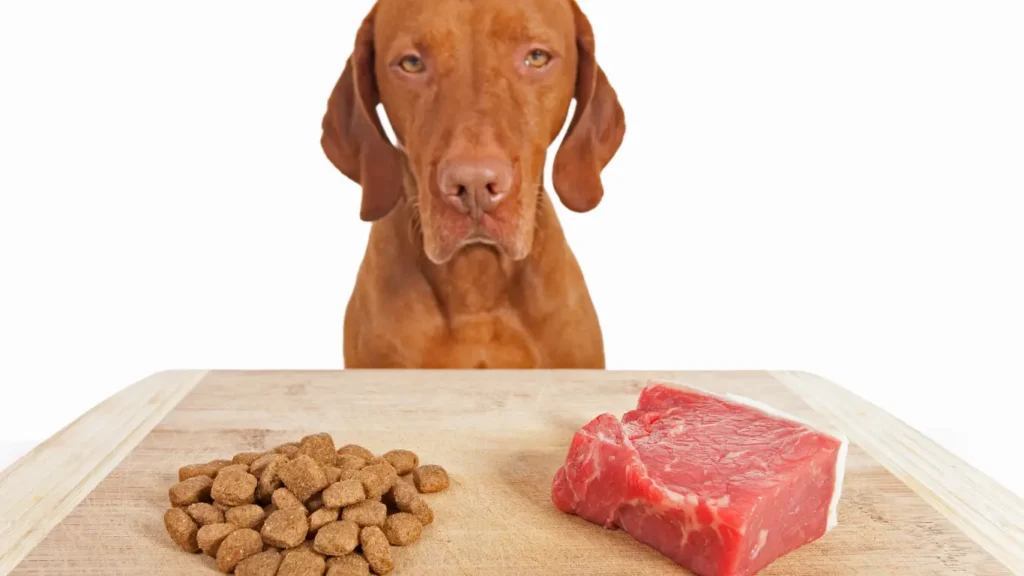 alternative to Hills id low-fat dog food