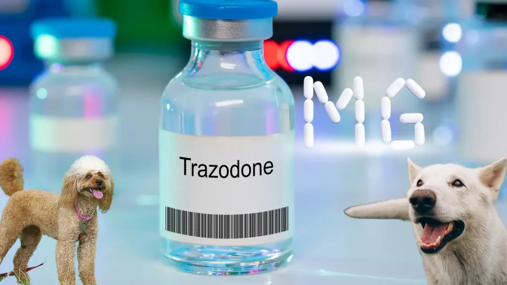  trazodone for a dog