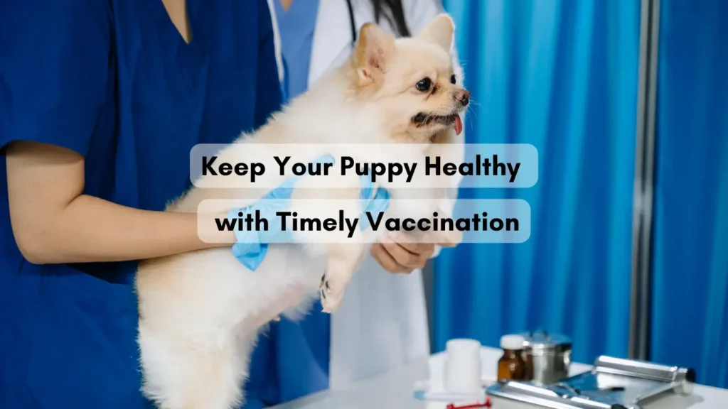 5 in 1 vaccine for puppies schedule