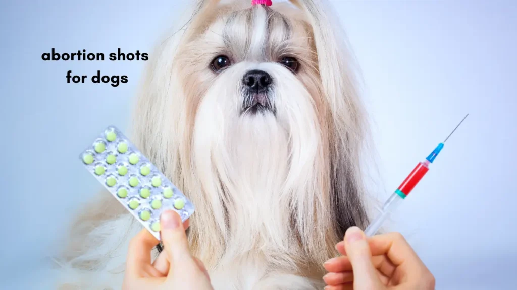 abortion shots for dogs
