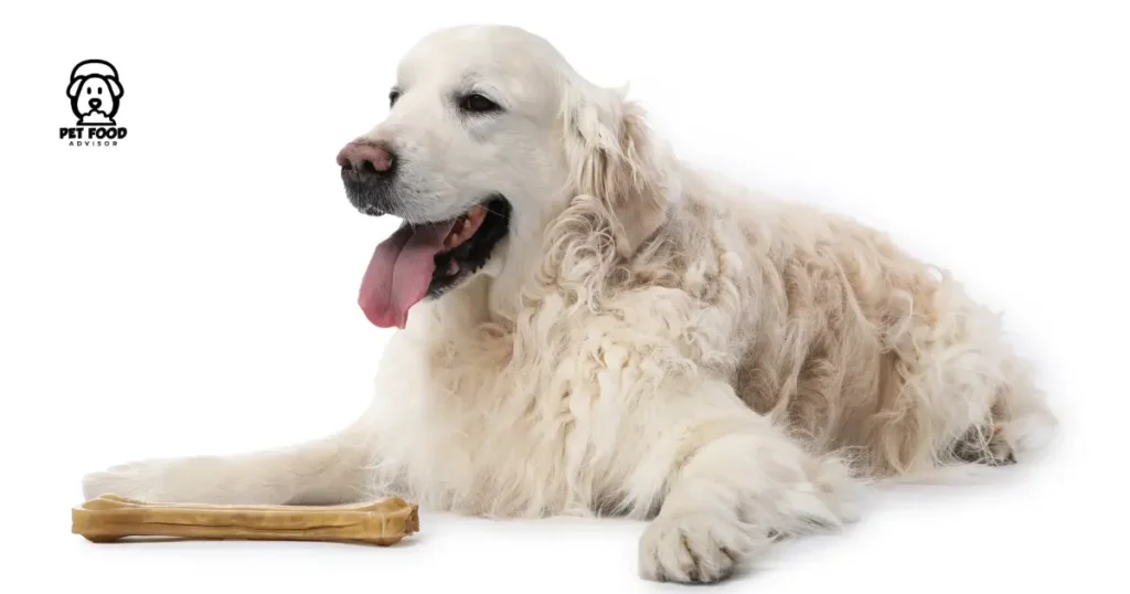 Everything You Need to Know About Chew Bones for Dogs