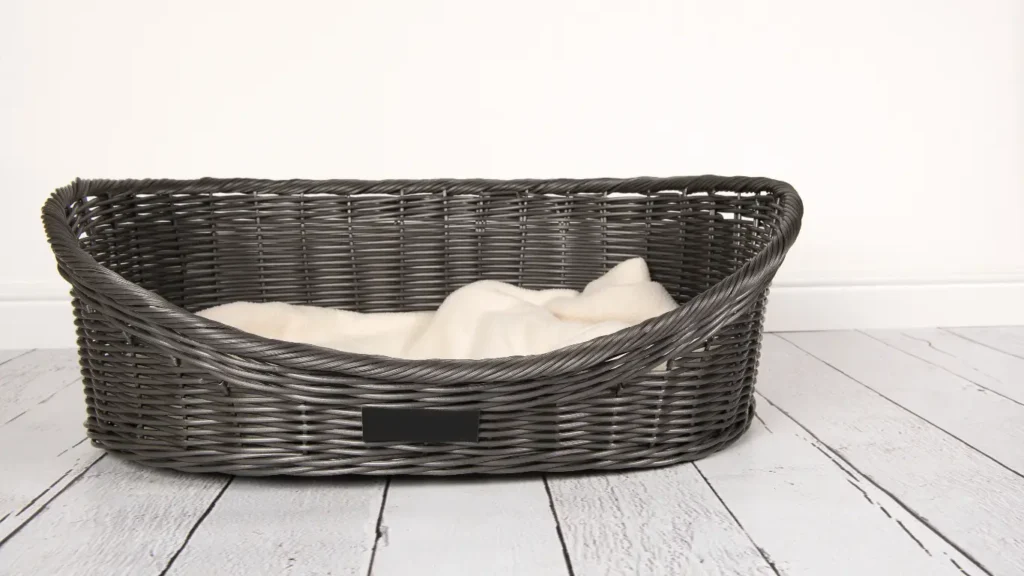 best dog beds for diggers